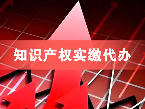 宜州知识产权实缴资本代办